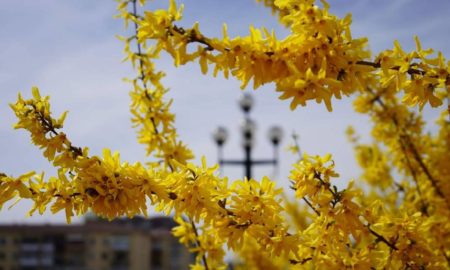 Інтелектуальна гра, вистава художника з Херсону. Що цікавого відбудеться у Франківську 25 жовтня?