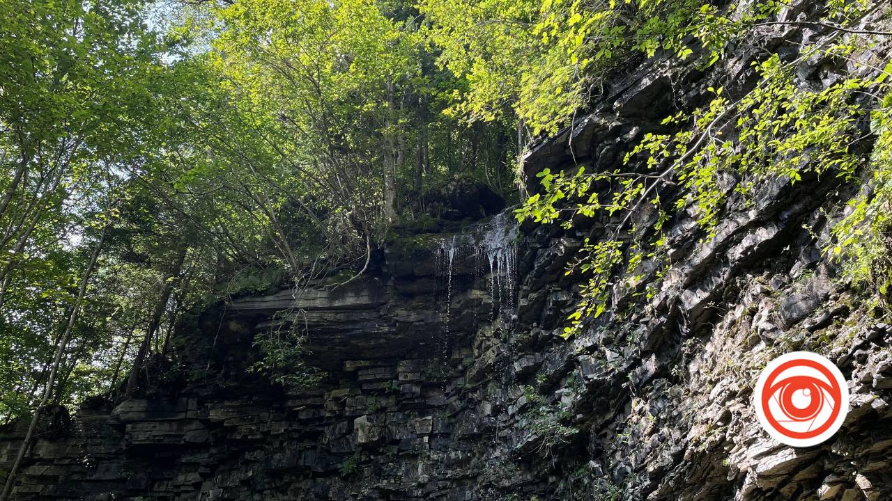 Одне з див природи: чому варто відвідати Крапельковий водоспад на Прикарпатті