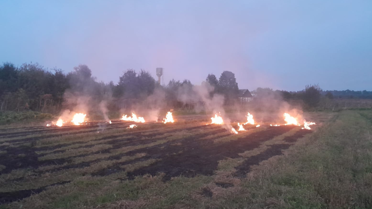 На Франківщині здійнялася масштабна пожежа - горіла суха трава