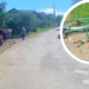 На Прикарпатті збили велосипедиста: він загинув