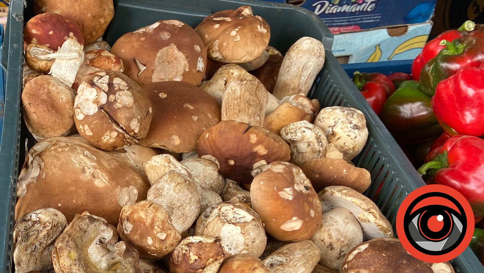 Сезон грибів на франківському ринку: які продають і скільки коштують