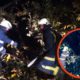 Негода на Прикарпатті : рятувальники ліквідували наслідки