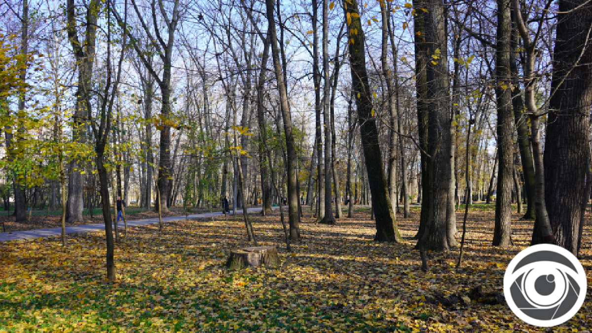 Що відвідати в Івано-Франківську 23 жовтня?