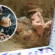 На Прикарпатті археологи знайшли залишки трипільської господарської будівлі