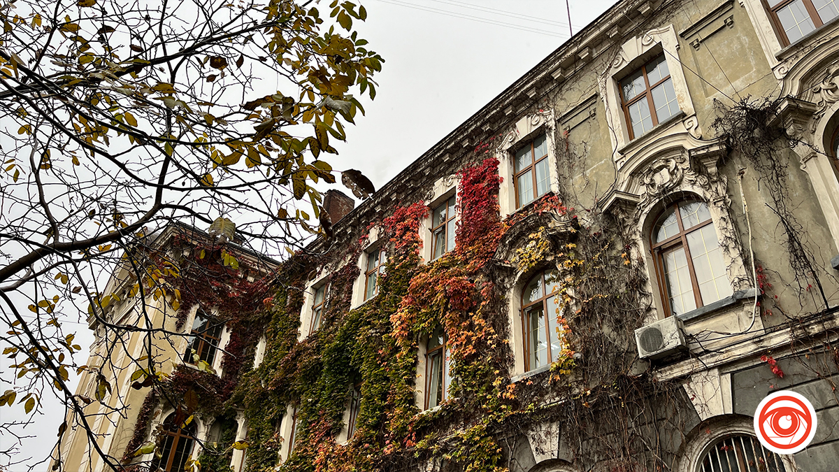 У місті - сонячно, в горах дощ - з мокрим снігом. Чого очікувати від погоди 9 листопада?