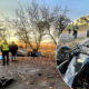 Водій в'їхав у дерево: деталі вчорашньої смертельної ДТП на Косівщині