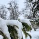 Сніг та ожеледиця: погода у Франківську 2 грудня