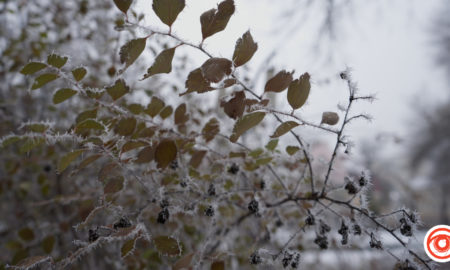 Якою буде погода в Івано-Франківську 11 грудня?