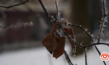 Туман та ожеледиця: погода в Івано-Франківську 16 грудня