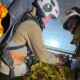 Внаслідок пожежі на Прикарпатті постраждала жінка. Рятувальники надавали допомогу