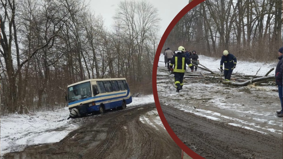 На Прикарпатті через негоду з дороги з'їхав рейсовий автобус