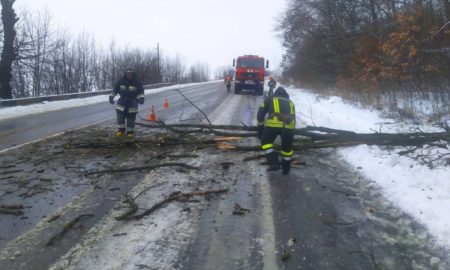 На Прикарпатті рятувальники розчистили дорогу від повалених дерев