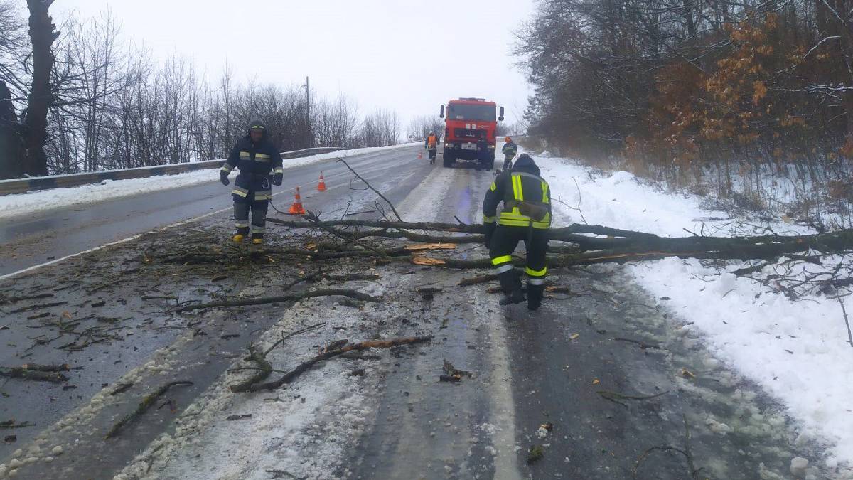 На Прикарпатті рятувальники розчистили дорогу від повалених дерев