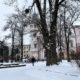 Що цікавого відвідати в Івано-Франківську 18 січня?