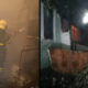 Зранку на Прикарпатті горіли дві будівлі