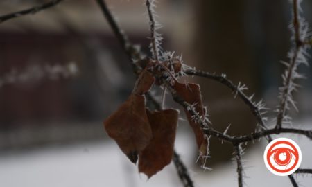 Дощ з мокрим снігом: прогноз погоди на 20 лютого в Івано-Франківську