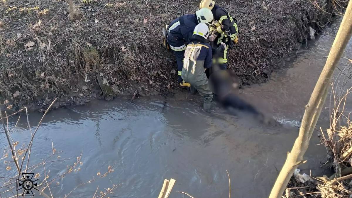 На Прикарпатті у водоймі втопився чоловік: рятувальники витягли тіло