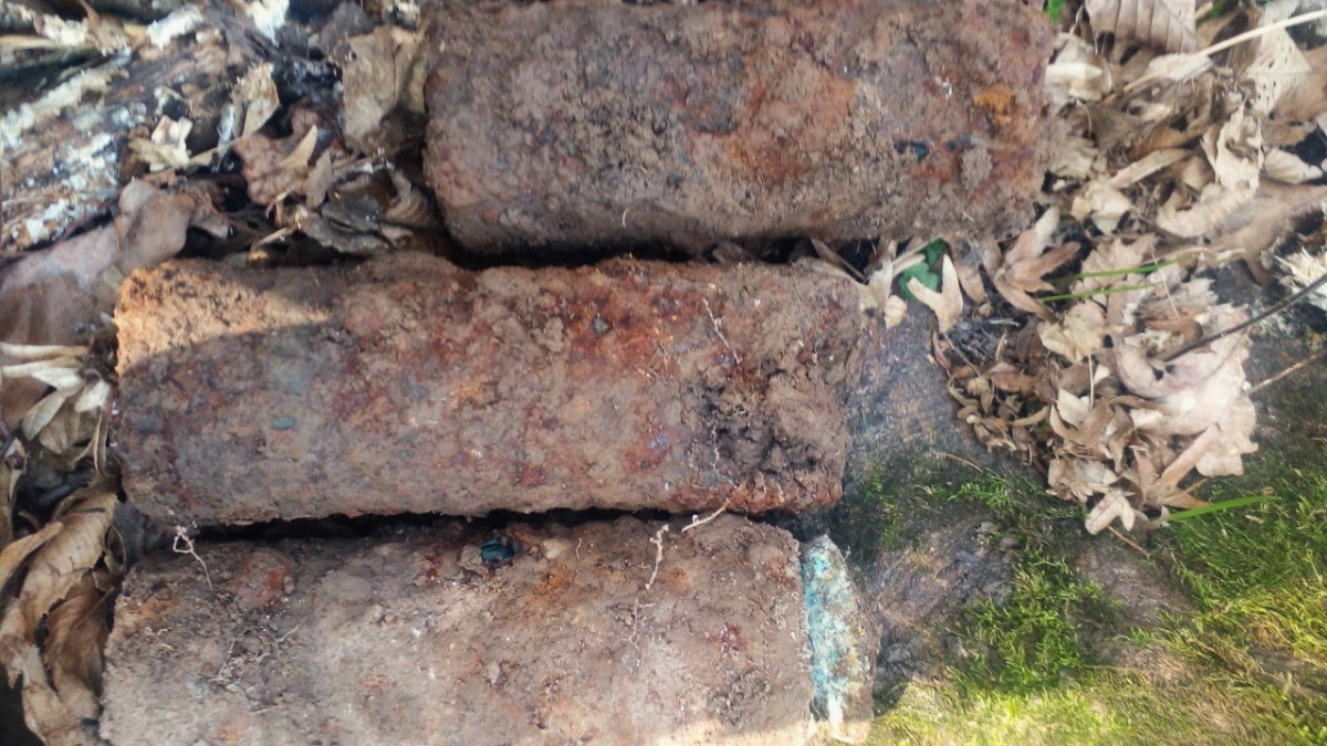Мінометну міну і 3 артснаряди знайшли у лісі в місті Коломия