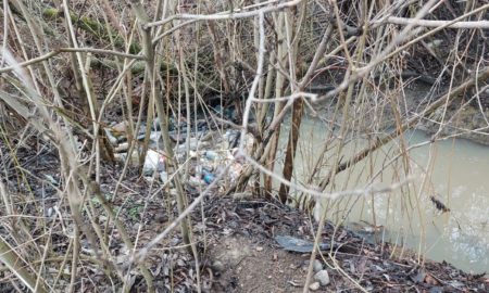 На Франківщині каналізаційні стоки потрапляють у притоку Бистриці-Солотвинської