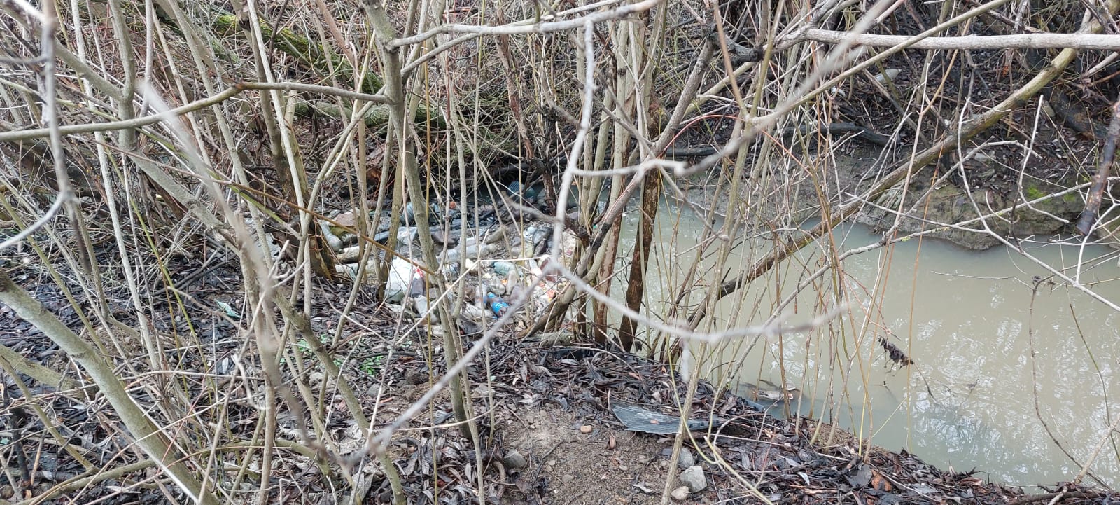 На Франківщині каналізаційні стоки потрапляють у притоку Бистриці-Солотвинської