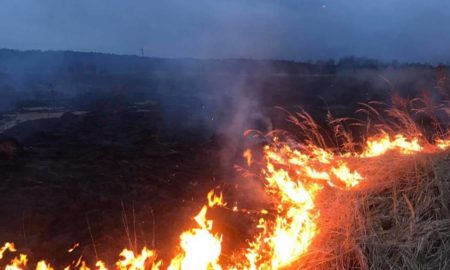 Прикарпаття в вогні: 37 пожеж в екосистемах за добу