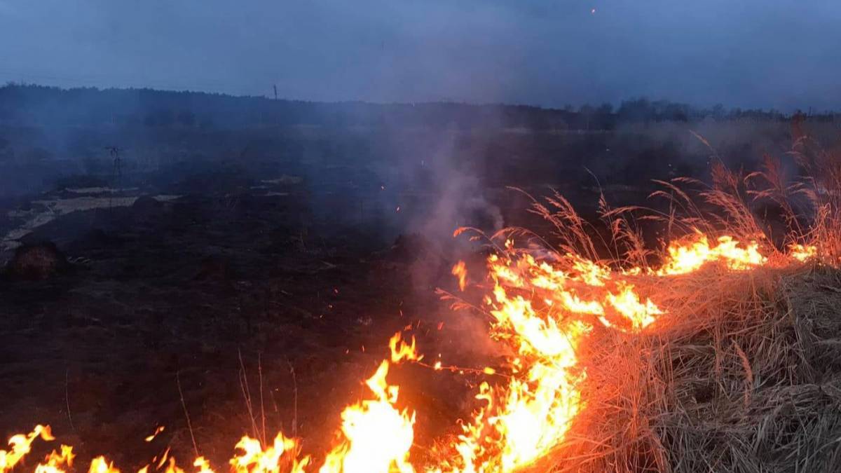 Прикарпаття в вогні: 37 пожеж в екосистемах за добу