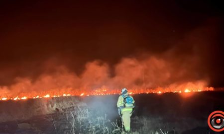 На Прикарпатті за добу загасили 35 пожеж в екосистемі: вигоріло 3,2 гектарів землі