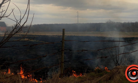На Прикарпатті за добу загасили 10 пожеж сухої трави