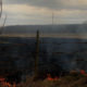 На Прикарпатті за добу загасили 10 пожеж сухої трави