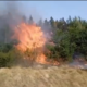За вихідні на Прикарпатті було 65 пожеж в екосистемах