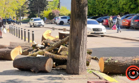 Люди обурюються, але роботу зробити мусимо: Смушак щодо обрізки дерев у місті