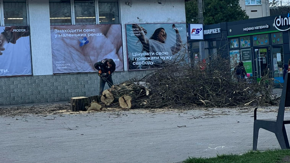 Конфлікт через зрізані дерева у Бурштині: що відомо