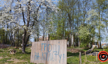 У Франківську на місці будівництва церкви небайдужі продовжують садити дерева. Фоторепортаж