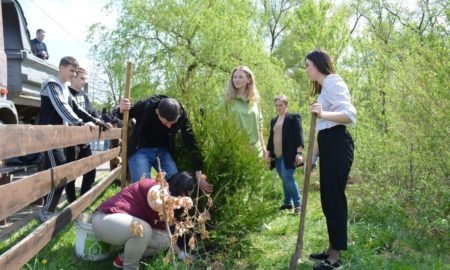 "За чисте довкілля": у Надвірній відбулось озеленення міста
