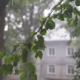 Дощ, місцями грози: погода у Франківську 3 квітня