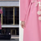Леся Українка в рожевій свитці: луцький бренд анонсує цікавий захід