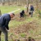 На Прикарпатті біля монастиря у Погоні висадили 300 молодих дерев