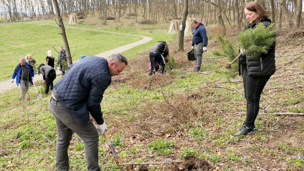 На Прикарпатті біля монастиря у Погоні висадили 300 молодих дерев