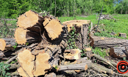 Порізали і забули? Благоустрій кладовища у Марківцях виглядає незавершеним