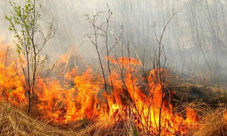 Увага: Пожежонебезпечний період на Прикарпатті