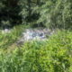 На Франківщині виявили 40 незаконних сміттєзвалищ
