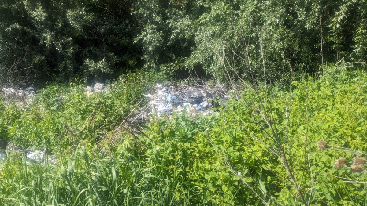 На Франківщині виявили 40 незаконних сміттєзвалищ