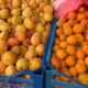 Кругленькі, соковиті, апетитні: вартість абрикосів в Івано-Франківську