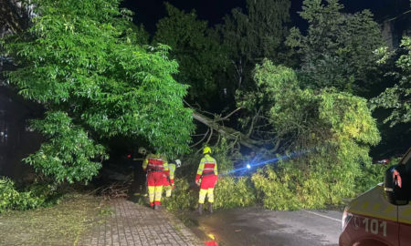 У Франківську через посилений вітер на дорогу впали дерева