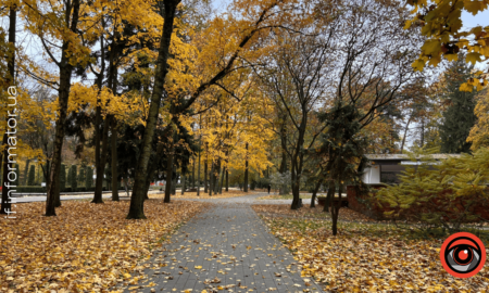 парк Шевченка, Франківськ, опале листя