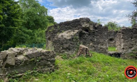 Історія замку Краснодвір: благодійна екскурсія у Надвірній