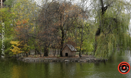 Лебідь, франківське озеро (1)