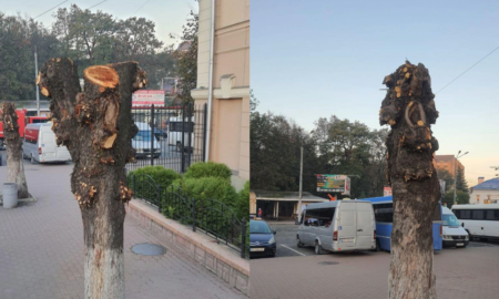 обрізка дерев, дерева залізничний вокзал, Франківськ