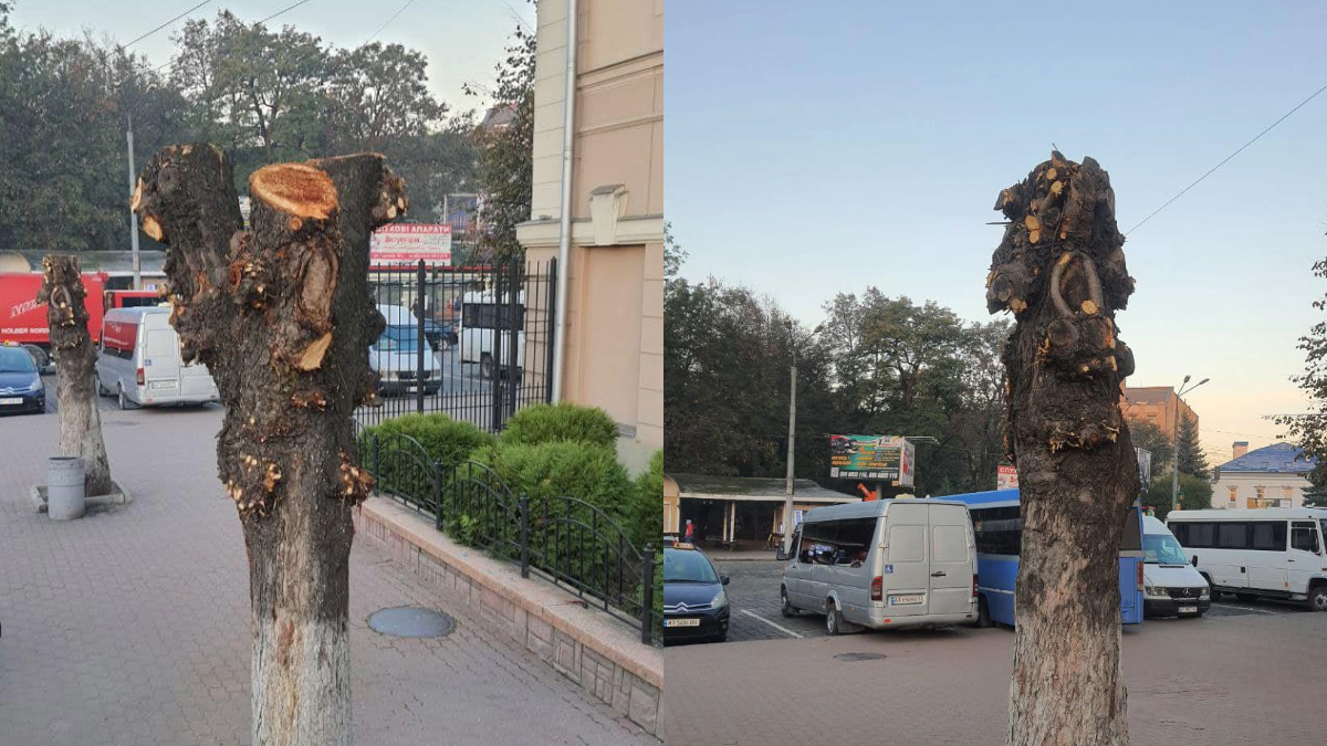 обрізка дерев, дерева залізничний вокзал, Франківськ