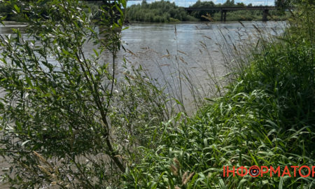 Обміління водойми на Прикрапатті